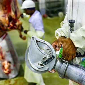 Student learning how to process foods