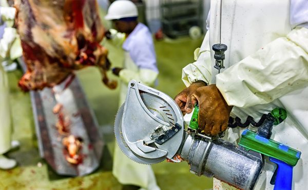 Student learning how to process foods